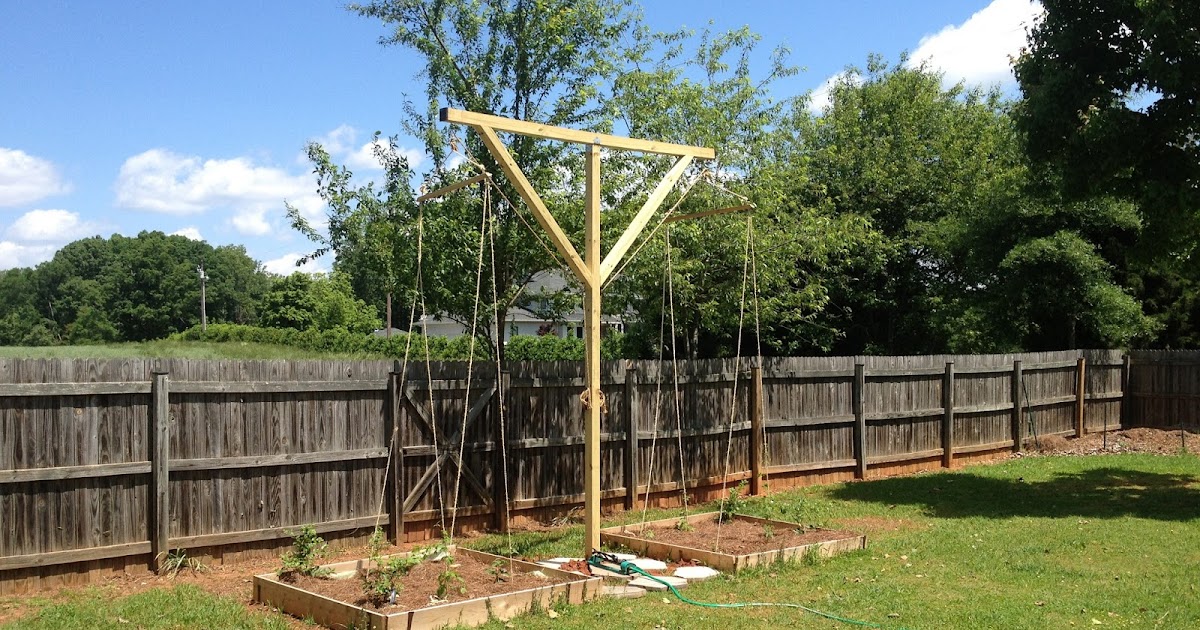 Hoppiton The Hop Trellis Is Up!